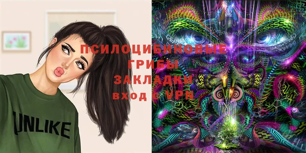 бошки Верхнеуральск