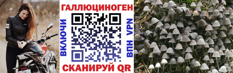 мега ТОР  где купить наркоту  Георгиевск  Галлюциногенные грибы ЛСД 